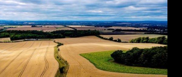 Strategy to boost East Anglia digital access gains support