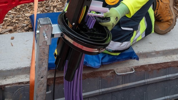 Wildanet rollout in Cornwall advances with Xantaro support