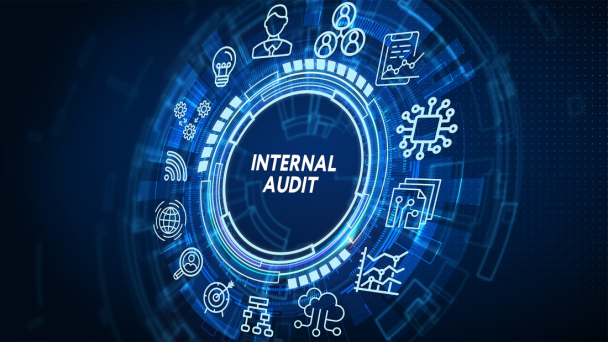 Lack of internal audit is putting sector at risk, says Chartered IIA